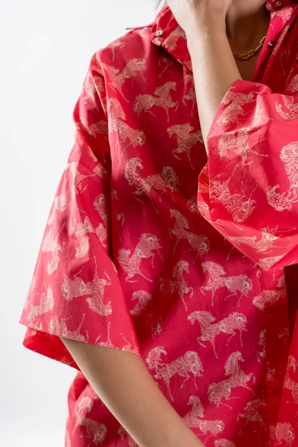 Coral Canter - Image 5